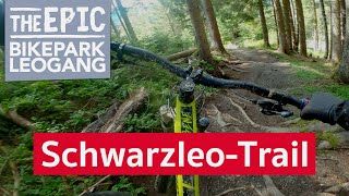 Schwarzleo Trail | Enduro MTB Trail im Bikepark Leogang/Saalfelden