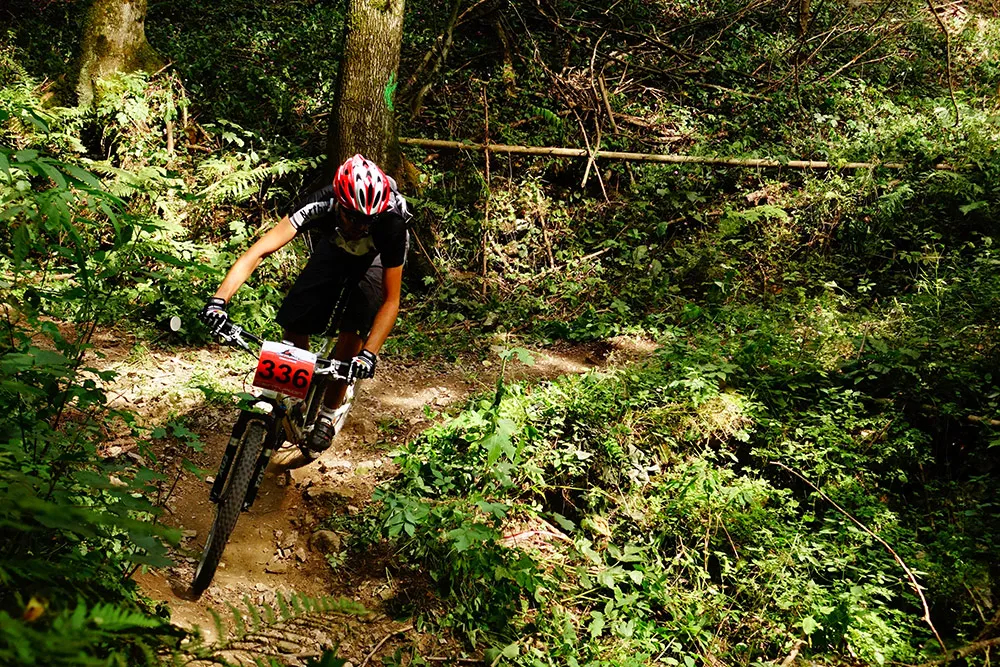 Kurz vor dem Ziel im Falschgraben Thomas Hochörtler fährt mit dem Mountainbike durch den Wald
