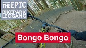 Bongo Bongo | Freeride Trail im Bikepark Leogang/Saalfelden