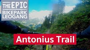 Antonius Trail | MTB Enduro Trail im Bikepark Leogang/Saalfelden
