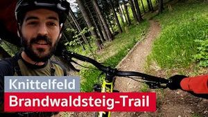 der Brandwaldsteig in Knittelfeld - ein Wahnsinns-Trail im Murtal | MTB VLOG | Enduro Österreich
