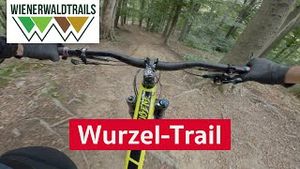 Wurzel Trail | Wienerwald Trails - Mountainbike Singletrail im Wienerwald